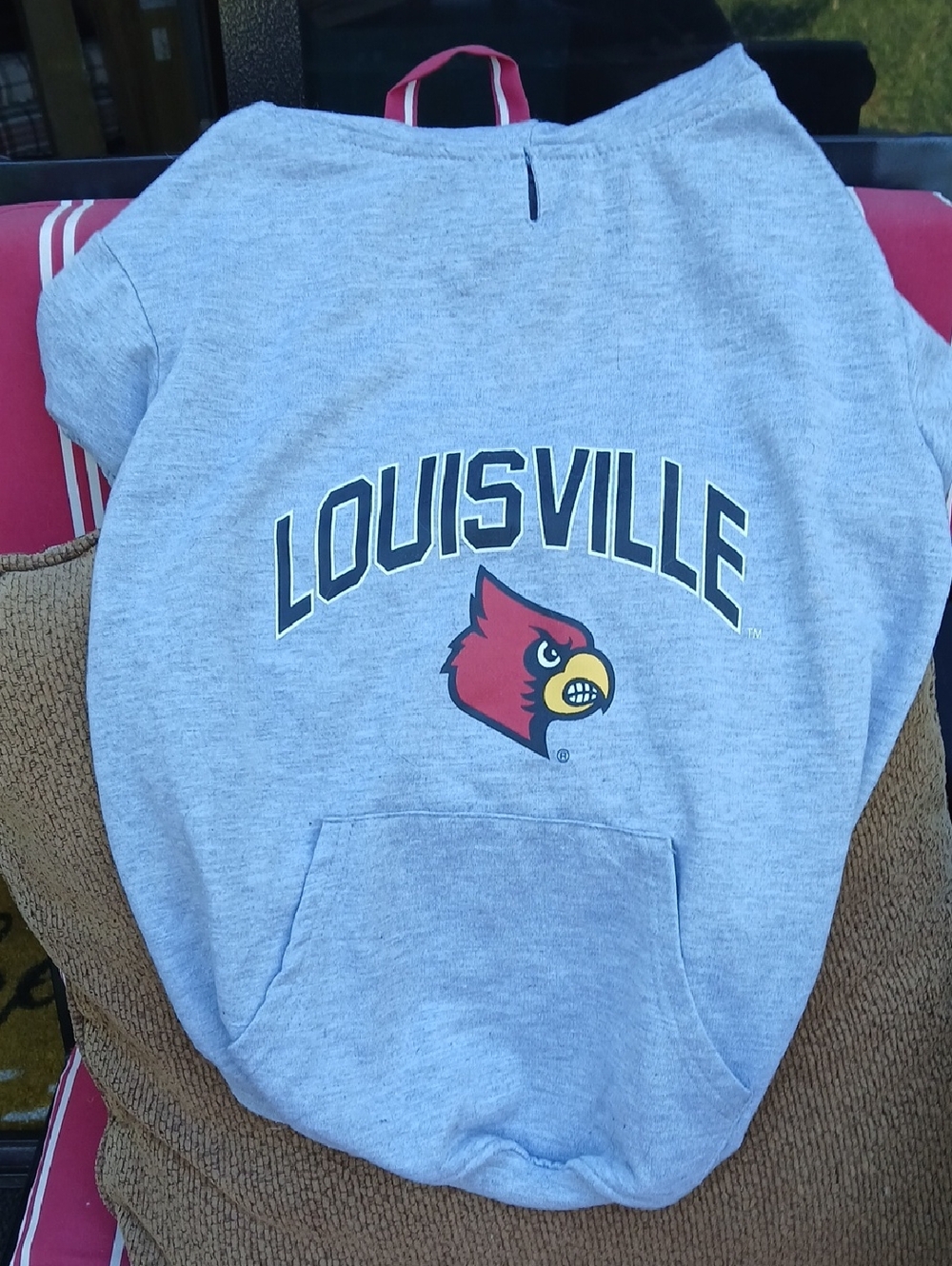 Pets First Gray Louisville Kids Hoodie with Red Cardinal Logo